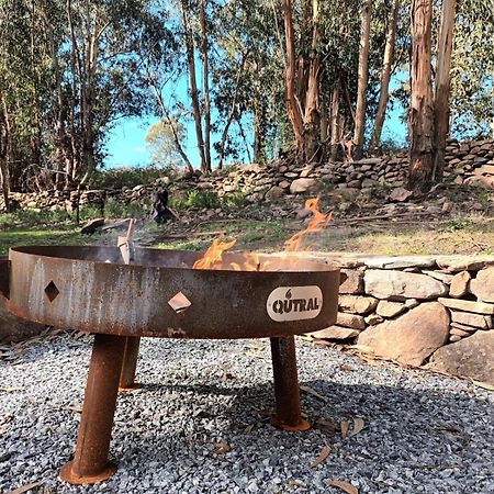 El Bosque De Las Animas Villa Tandil Dış mekan fotoğraf