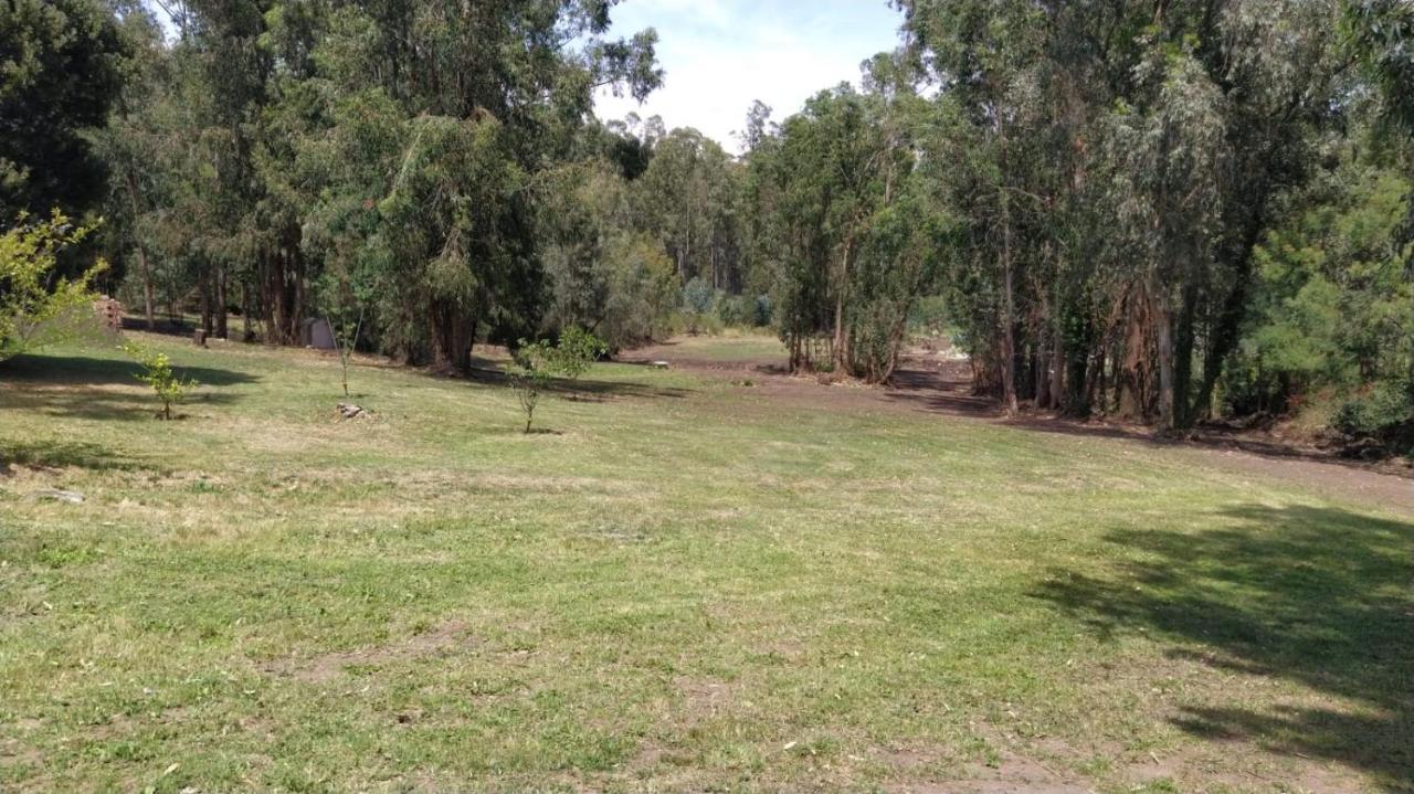 El Bosque De Las Animas Villa Tandil Dış mekan fotoğraf